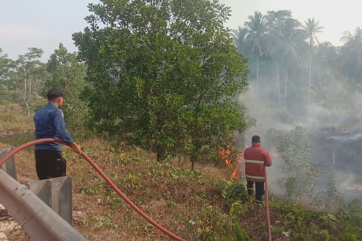 Damkar Lampung Selatan padamkan kebakaran lahan di KM 22 Kalianda
