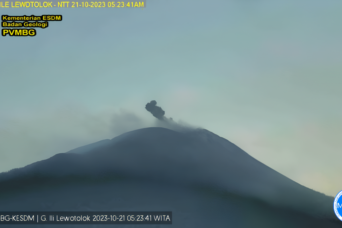 Gunung Lewotolok lontarkan abu vulkanik ke arah barat laut