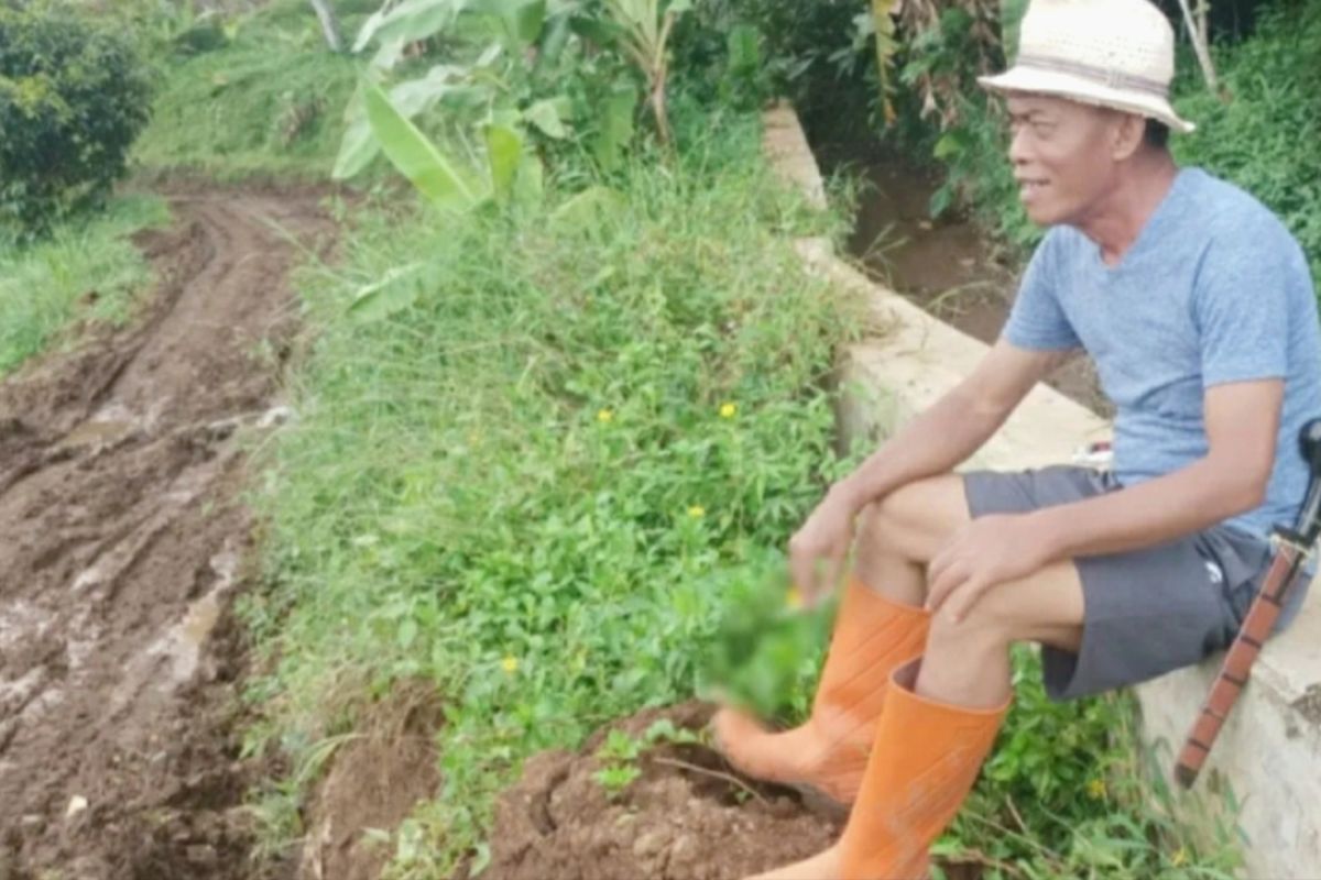 Bupati Subang komitmen jaga areal pertanian demi pertahankan status lumbung padi
