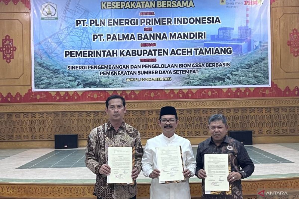 PLN EPI targetkan Aceh Tamiang jadi sumber biomassa energi terbarukan