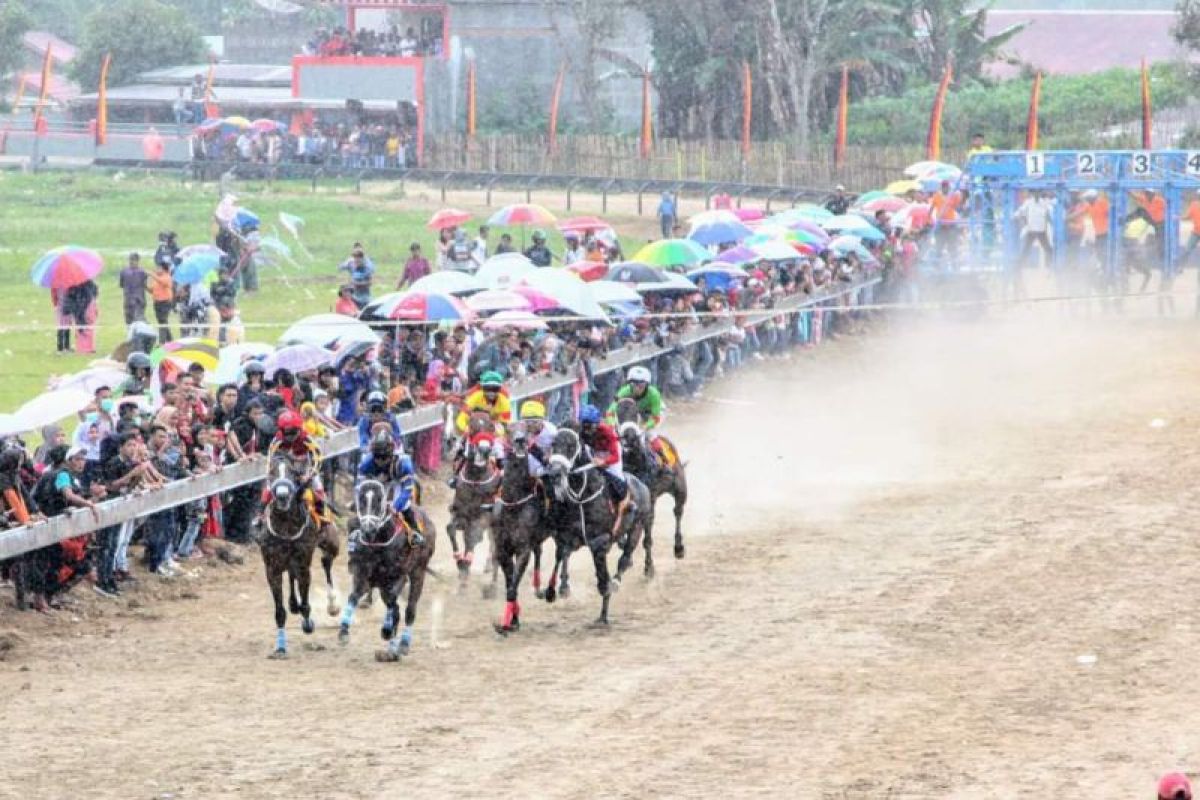 Kejuaraan Pacu Kuda berdampak positif ekonomi warga Bukittinggi-Agam