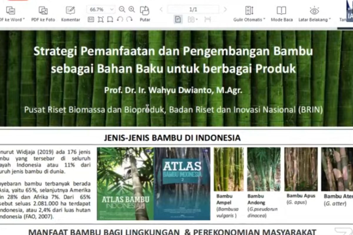 BRIN: Perlu strategi pengembangan produk bambu