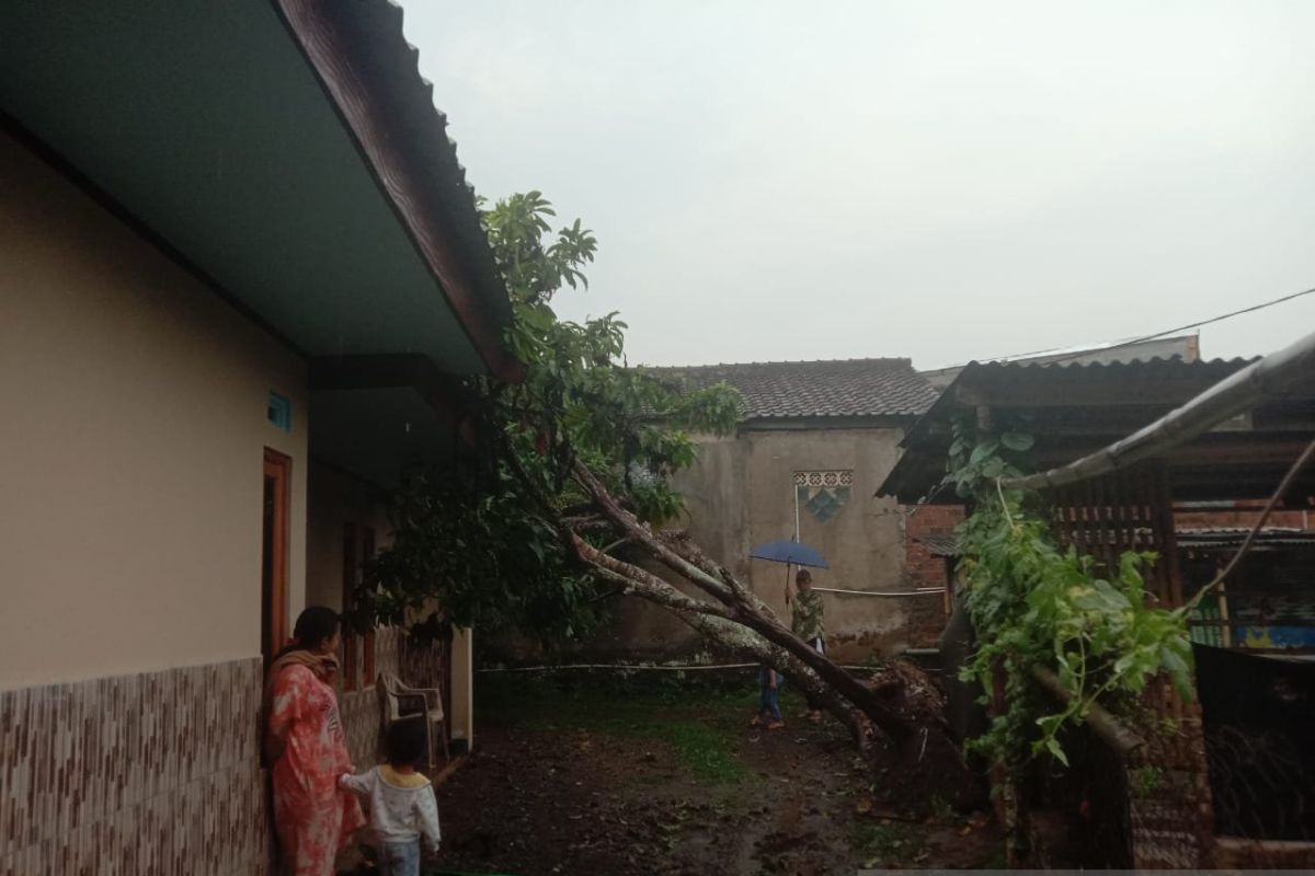Angin puting beliung landa dua kecamatan di Sukabumi