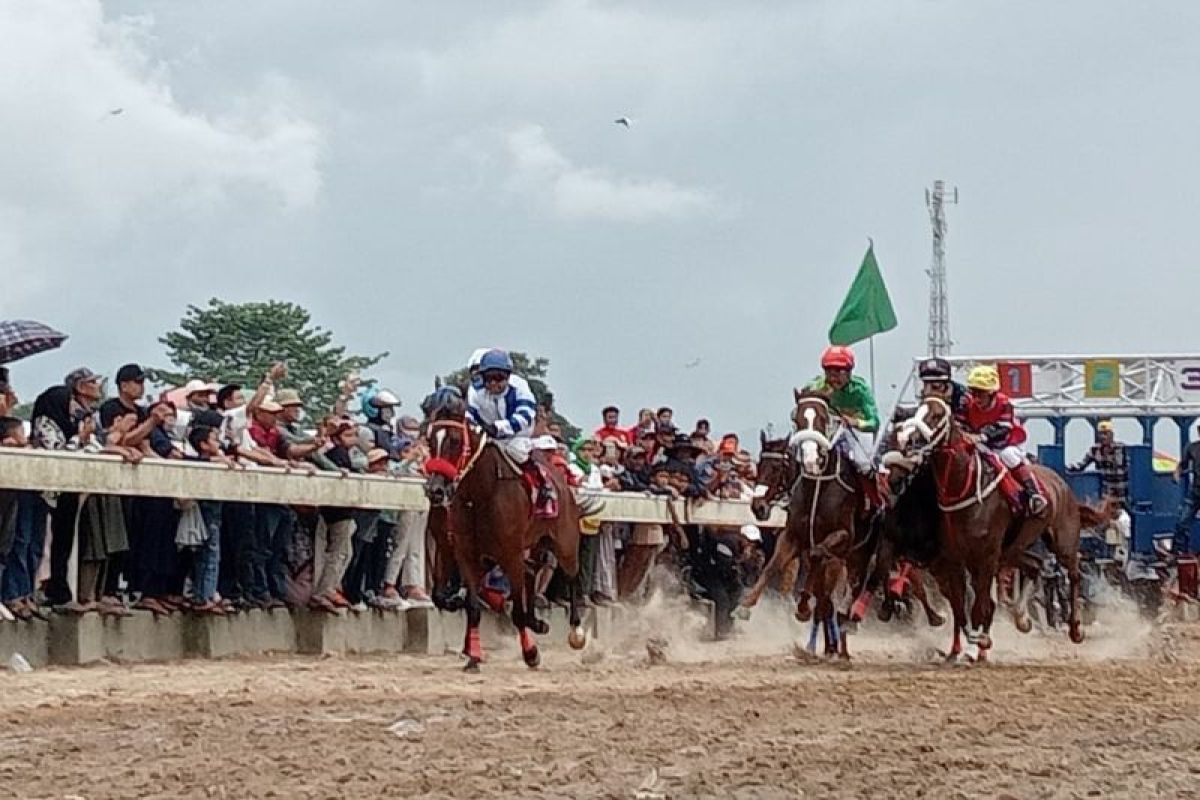 Kejuaraan pacu kuda beri dampak positif bagi ekonomi warga Bukittinggi