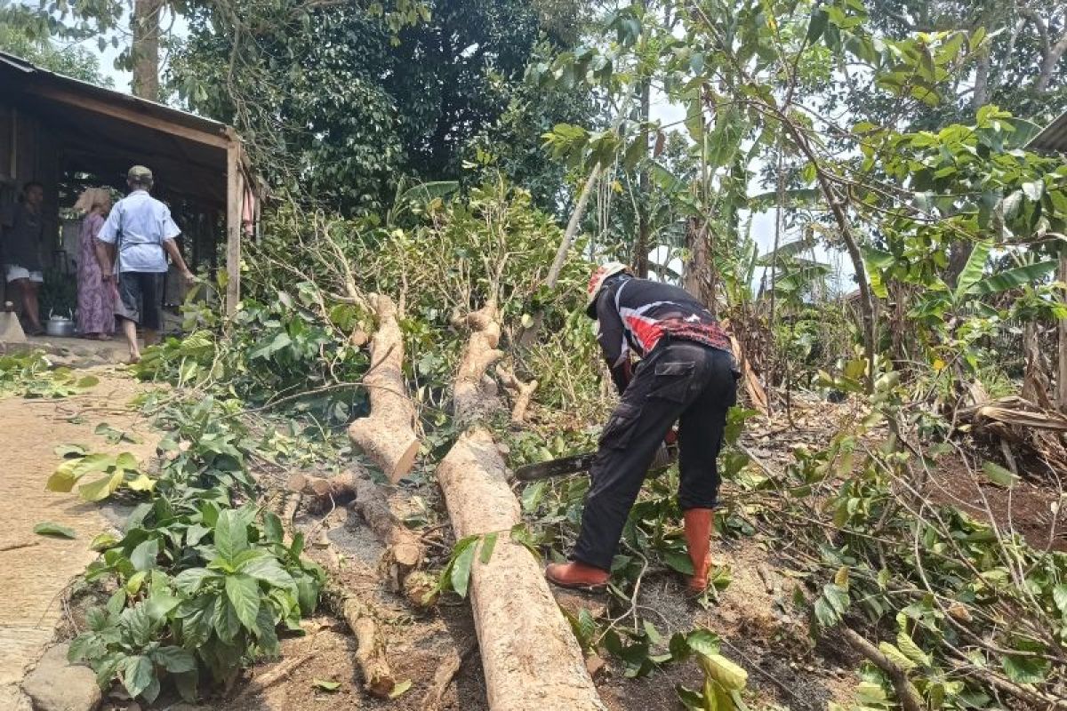 BNPB: 312 orang terdampak angin puting beliung di Sukabumi