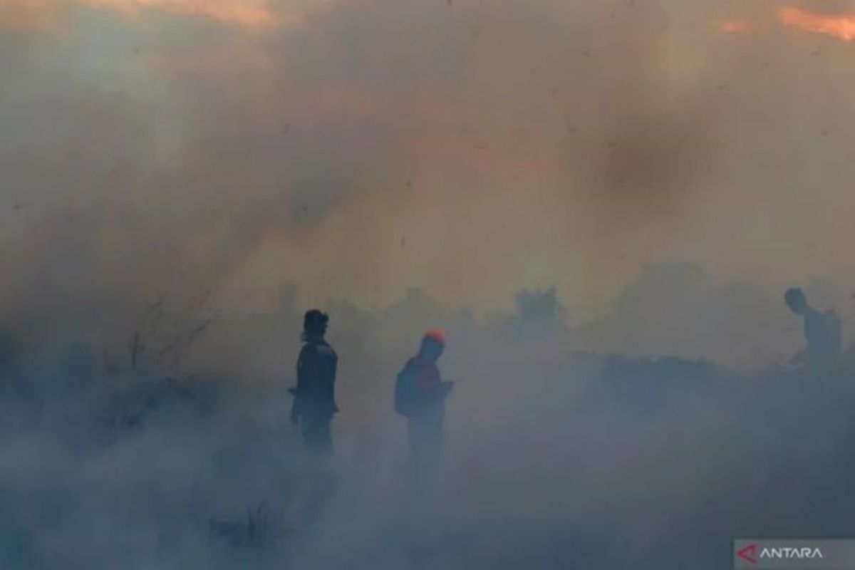 Forest, land fires decrease as rainy season comes: BPBD