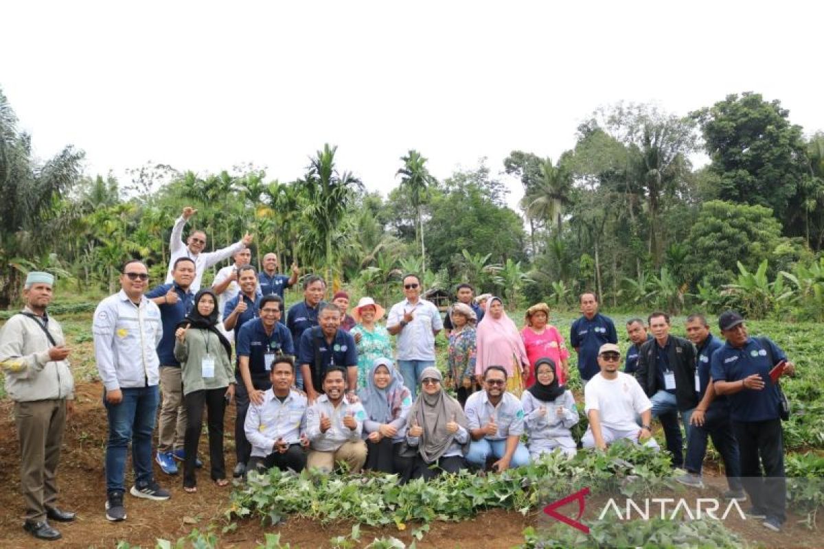 PLTA Batangtoru kenalkan  program agriculture kepada PWI Tabagsel