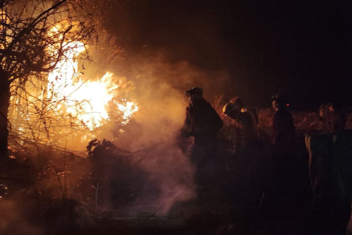 Puluhan petugas padamkan kebakaran hutan Papandayan di Garut