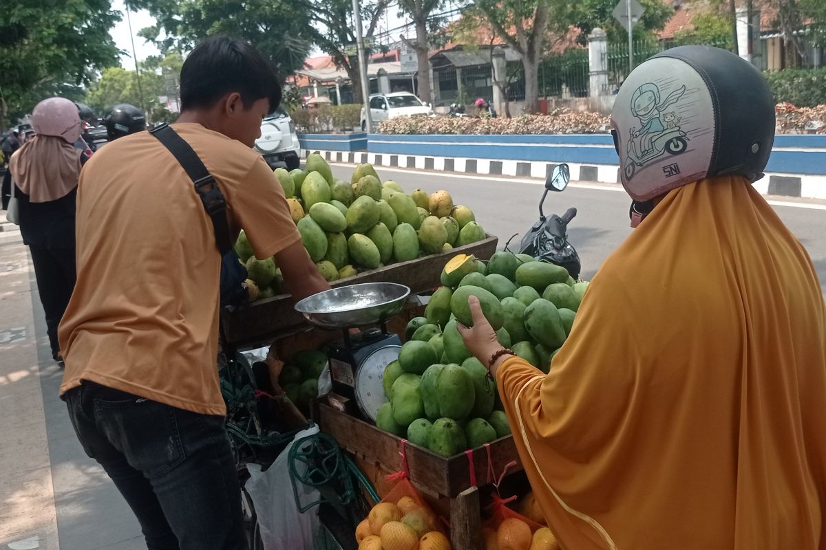 Sejumlah pedagang buah musiman di Lebak raup keuntungan