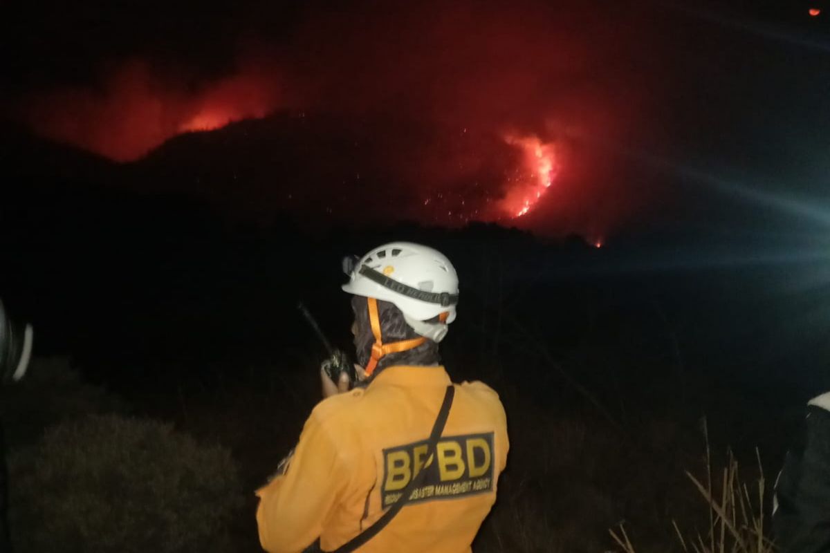 BPBD Garut: Kebakaran hutan Papandayan jauh dari pemukiman warga