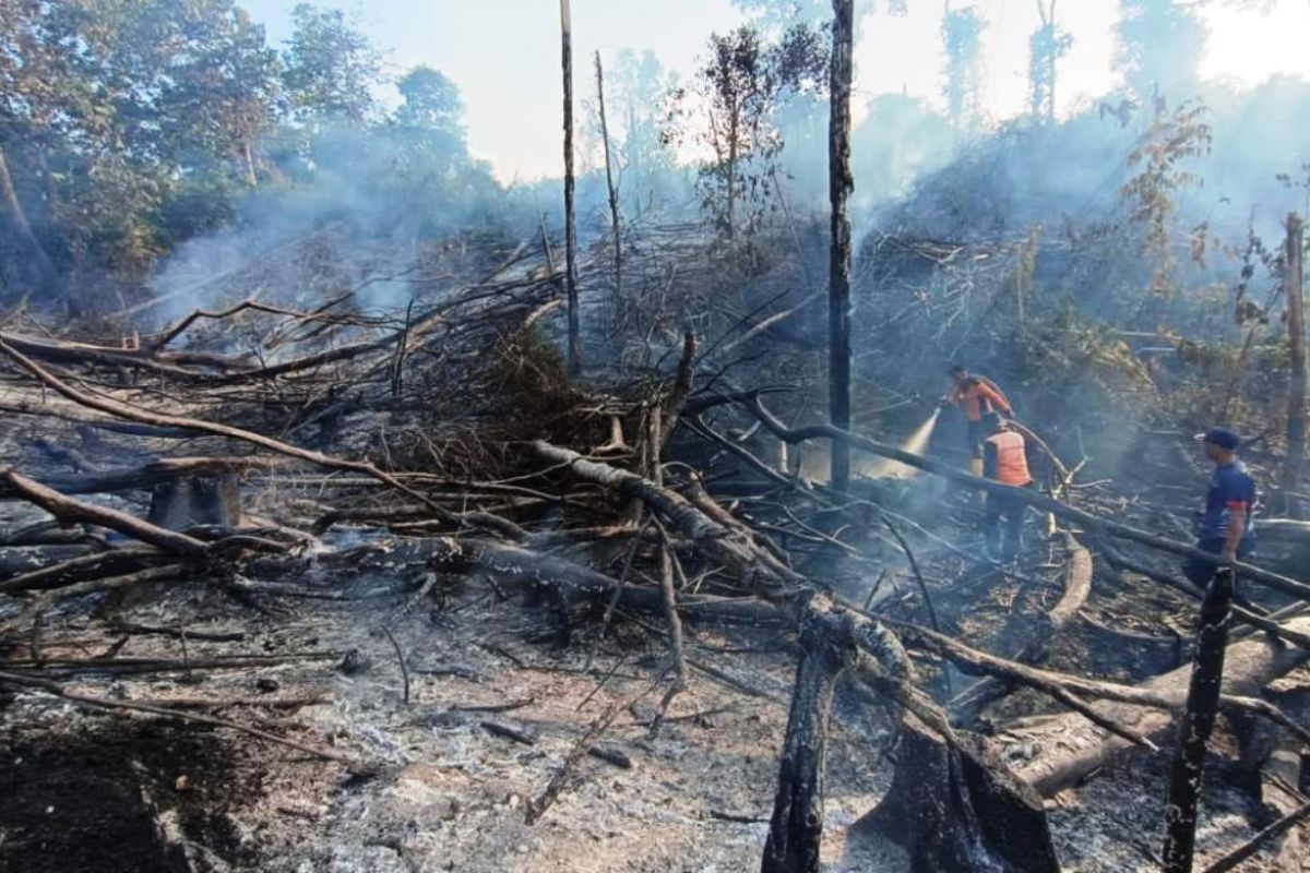 Titik panas di Kalimantan Timur turun dari 97 menjadi 74
