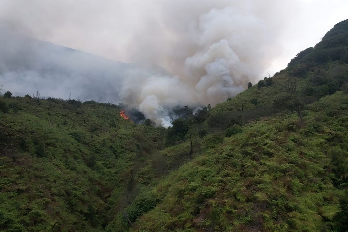 West Java: Team localizes fire in Mt. Papandayan