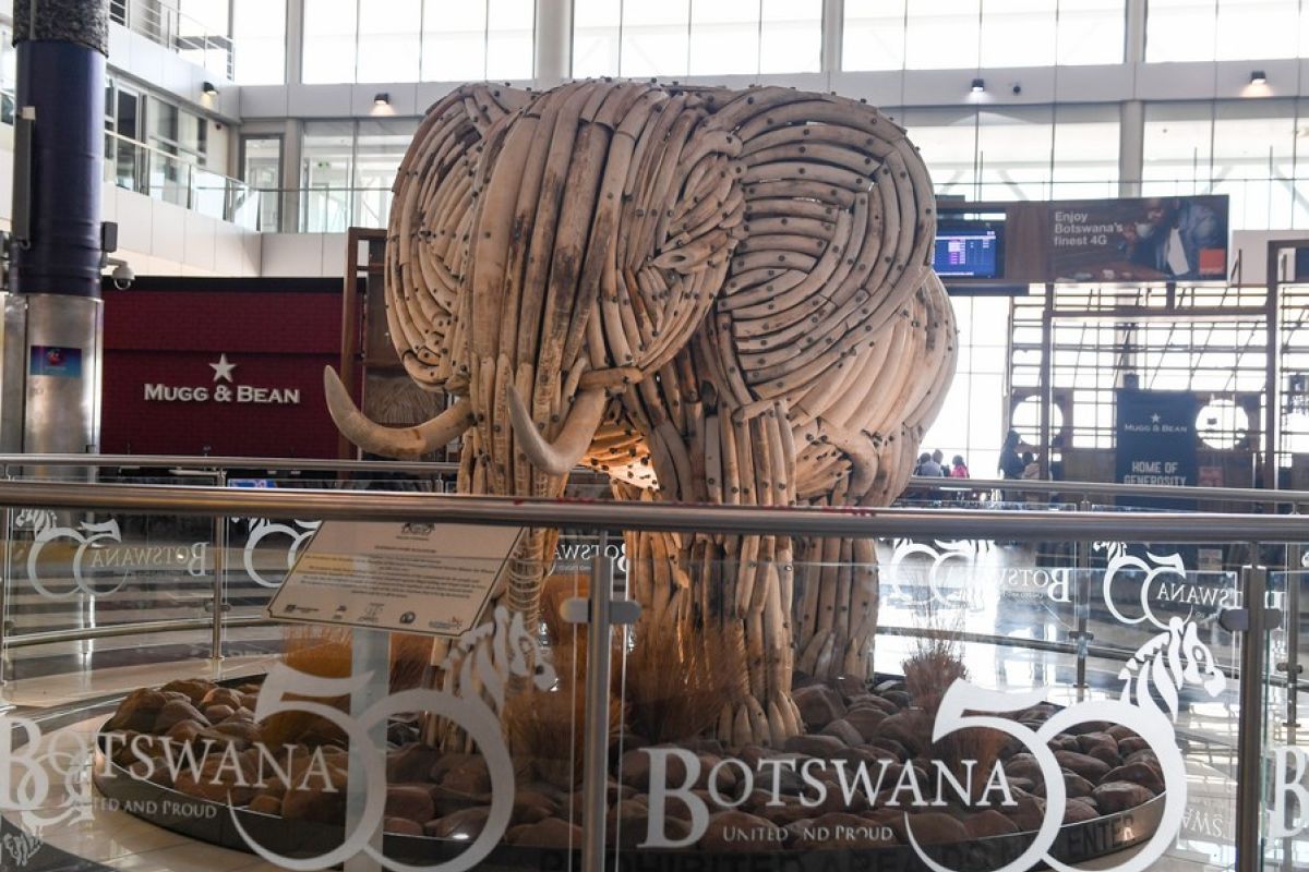 Botswana luncurkan bus "elephant express"