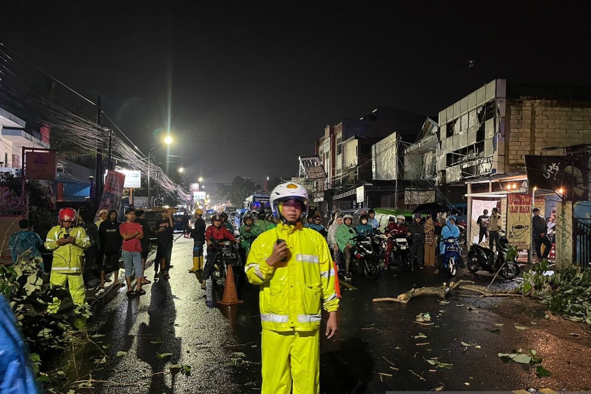 Polisi tangani lalu lintas dampak pohon tumbang timpa mobil di Bogor
