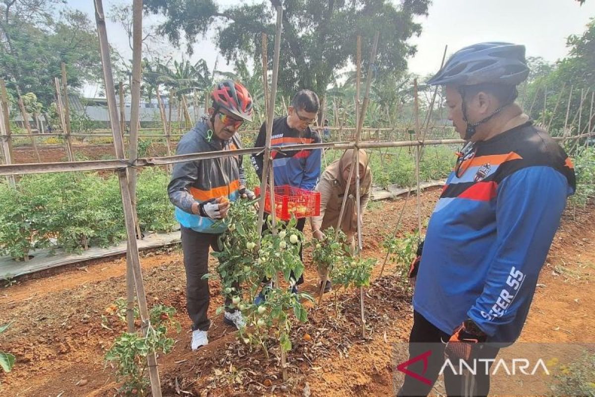 Jaktim gencarkan urban farming untuk tekan polusi dan ketahanan pangan