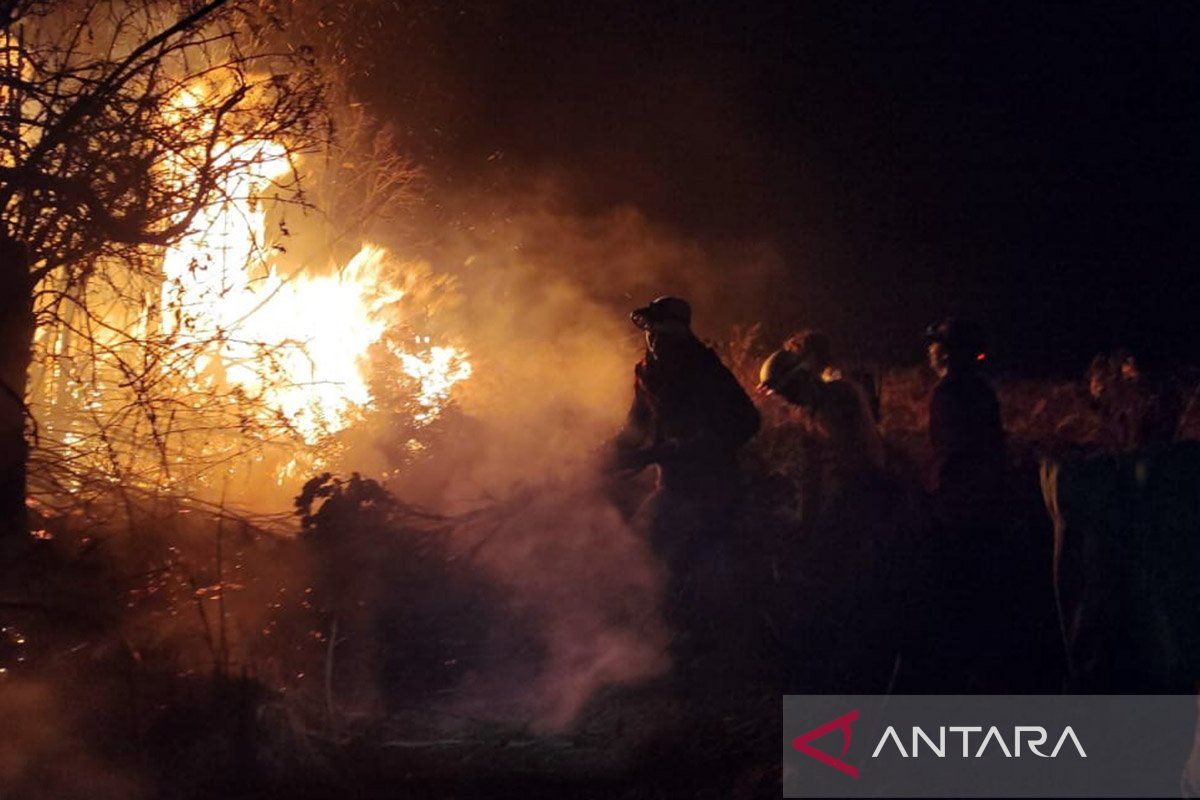 Kemarin, Cacar Monyet di Jakarta hingga kebakaran hutan