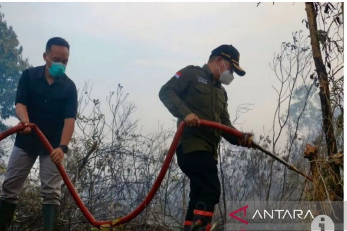 Kalsel kemaren, Upaya selamatkan ekosistem gambut hingga Setwan bekerja sesuai tupoksi