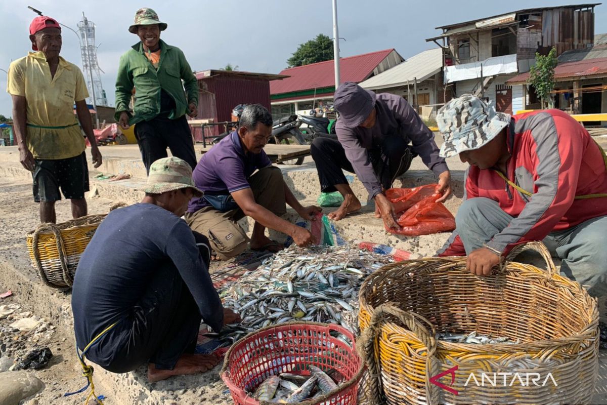 Hasil tangkapan nelayan Lhokseumawe meningkat 50 persen