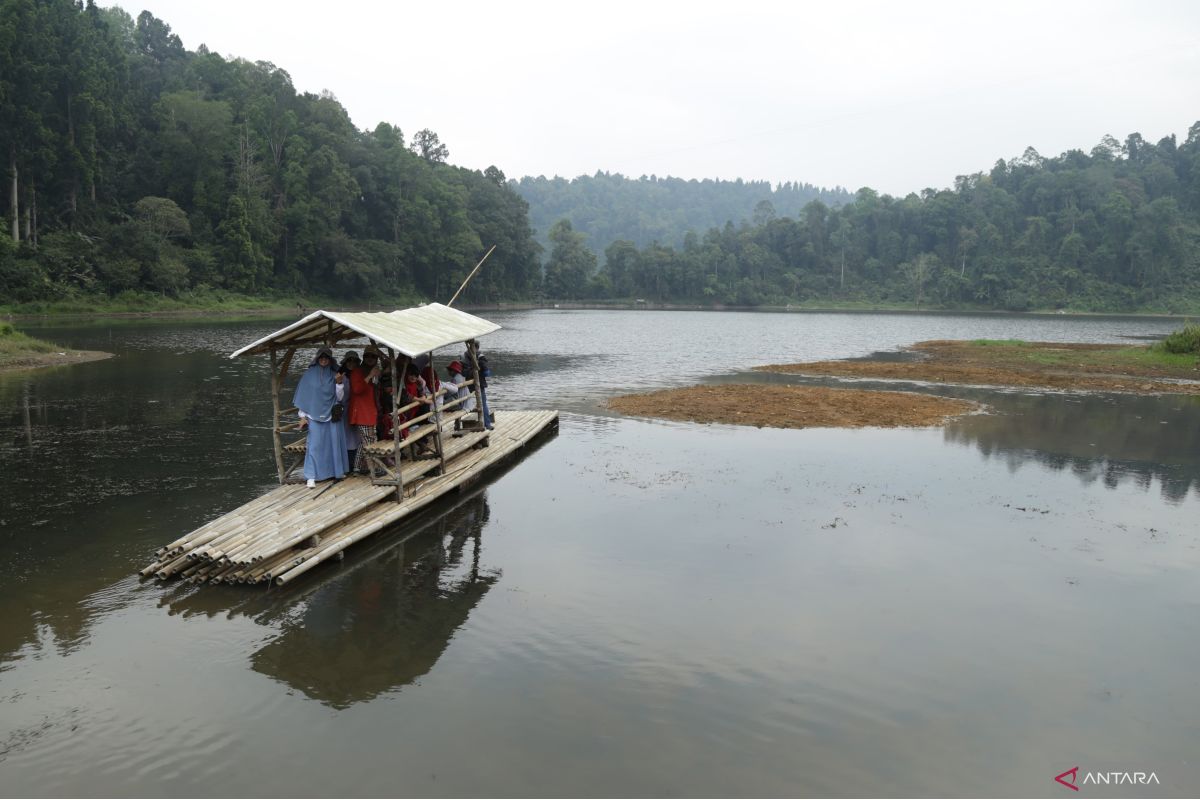 Protecting forests can maintain water storage, quality: Ministry