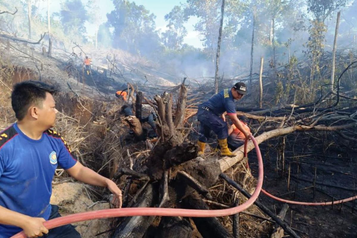 136 titik panas terdeteksi di Kalimantan Timur