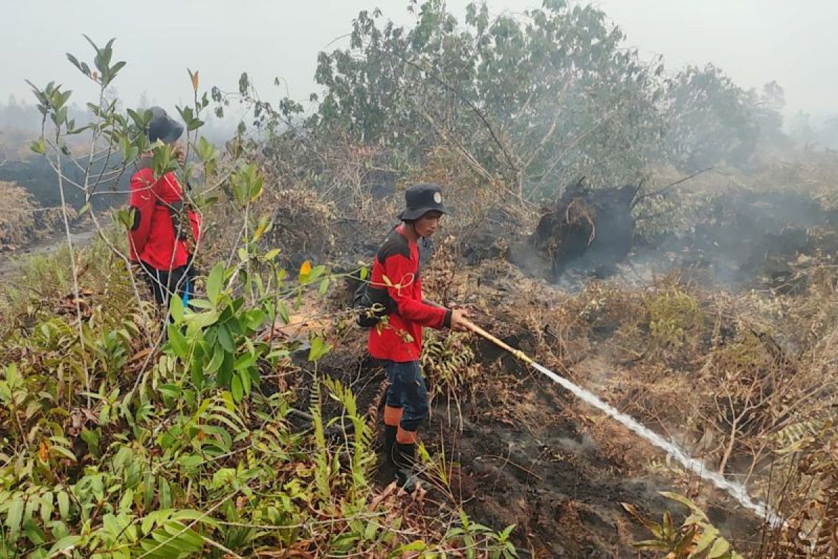 Manfaatkan sumur bor, MPA lakukan pembasahan lahan gambut