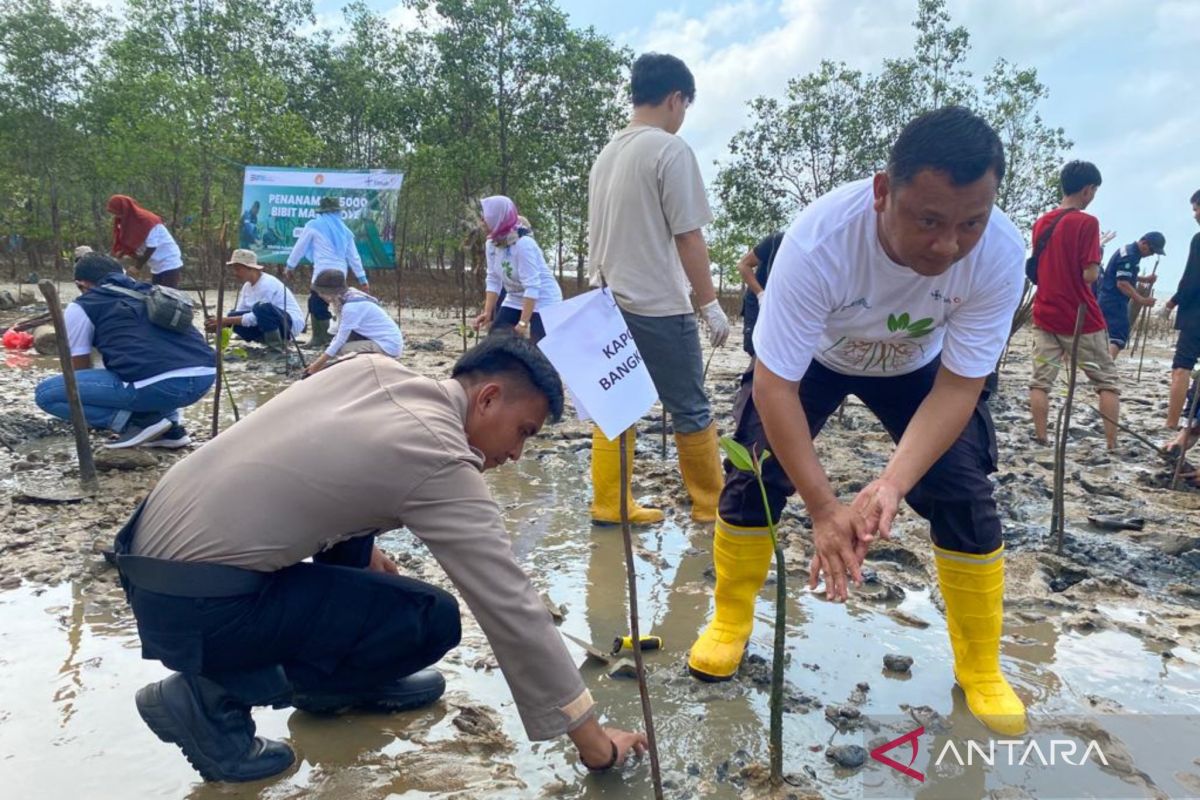 Polisi Bangka Barat bantu warga tanam 5.000 bibit mangrove