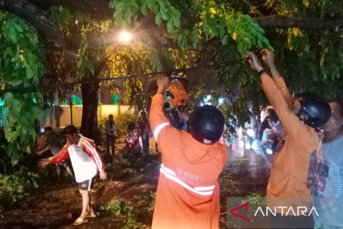 BPBD: Tujuh kecamatan di Kabupaten Bogor diterjang bencana alam