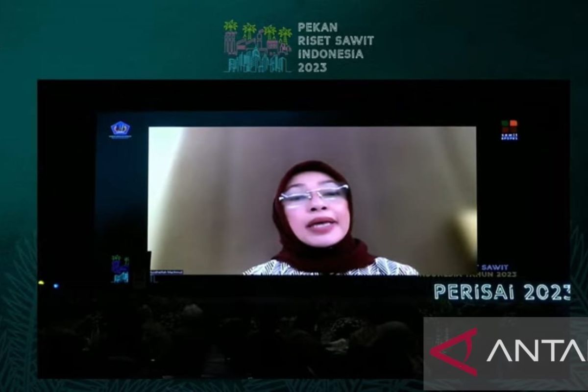 Industri kelapa sawit Indonesia serap 16,2 juta tenaga kerja pada 2022