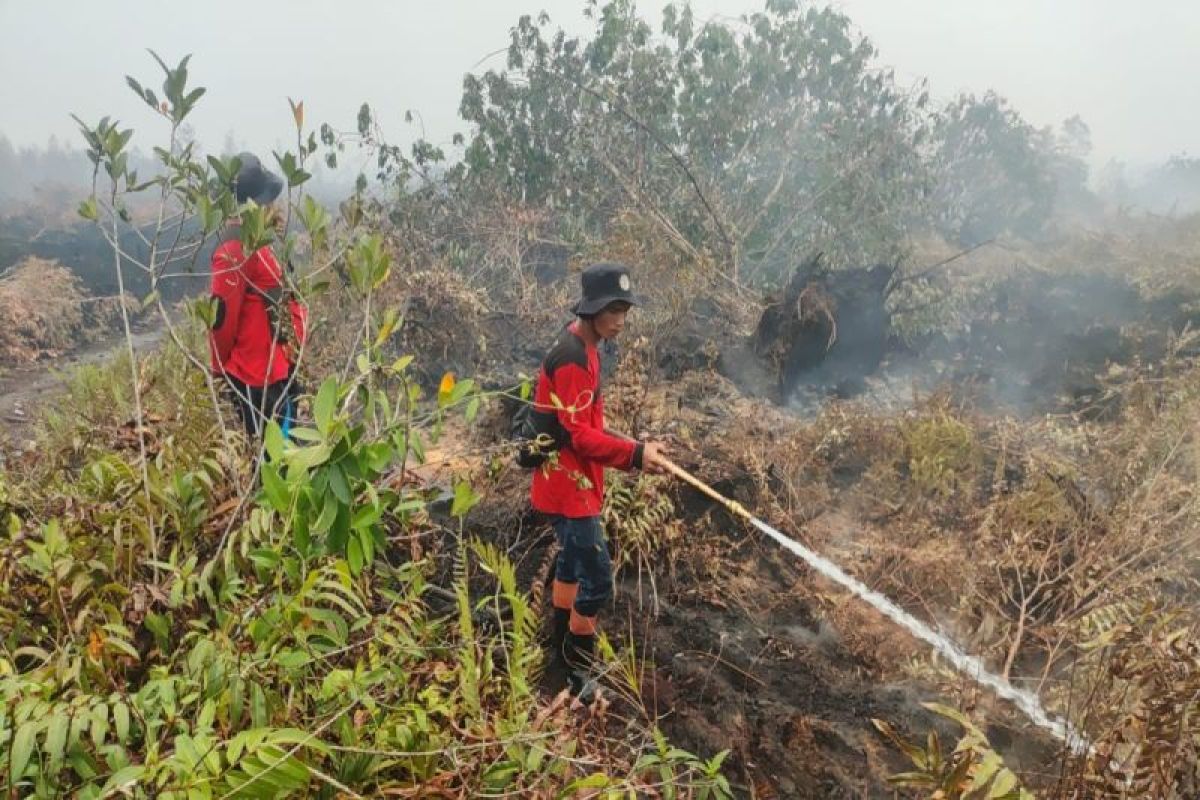 MPA lakukan pembasahan lahan gambut di Kalteng manfaatkan sumur bor