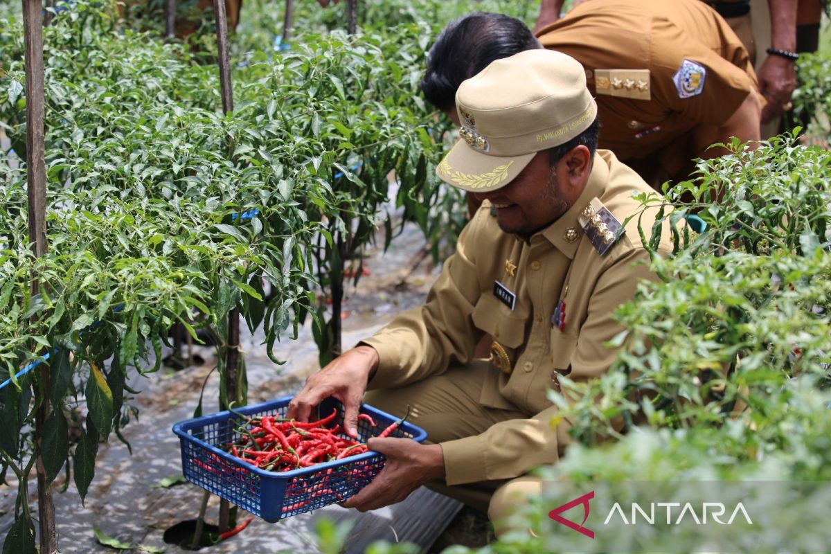 Pj Wali Kota Lhokseumawe minta warga manfaatkan lahan untuk tanaman pangan