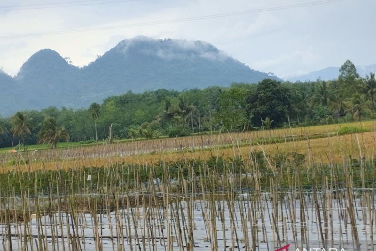 Kamis, Wilayah Kalsel cerah berawan sepanjang hari