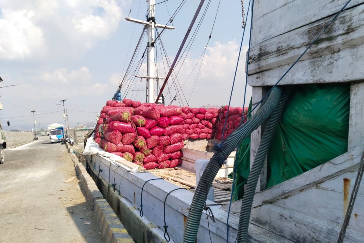 Produksi bawang merah di Bima mencapai 102.655 ton