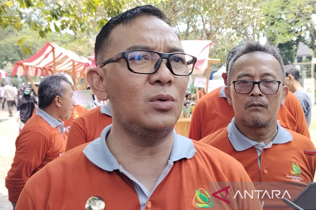 Pemkab Bogor siapkan asuransi 25.000 ha sawah antisipasi terjadinya puso