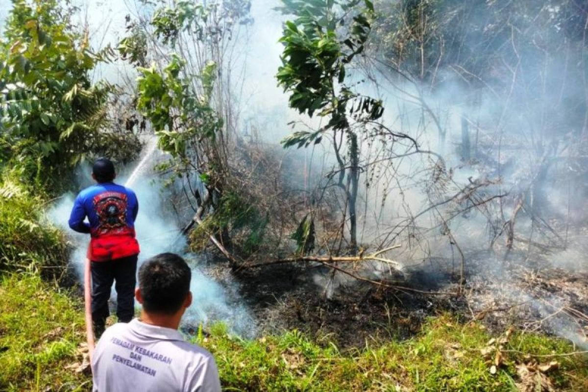 BMKG Balikpapan deteksi 206 titik panas di Kalimantan Timur