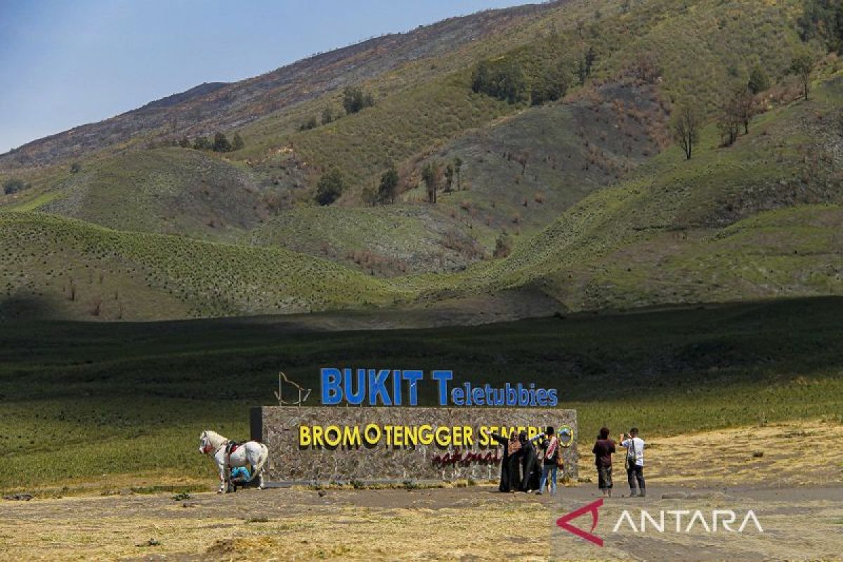 Kunjungan wisatawan ke Gunung Bromo mulai pulih