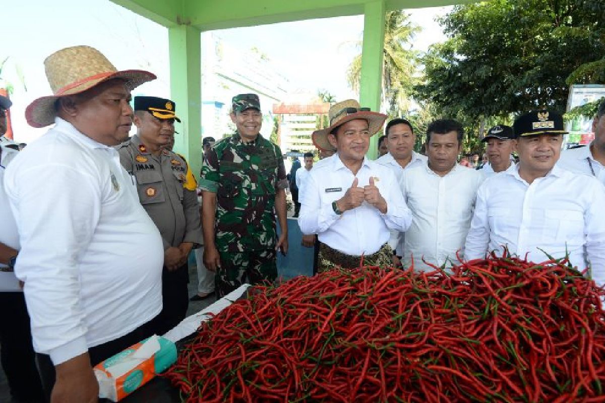 Pj Gubernur sebut  cabai merah di Sumut surplus 41.950 ton