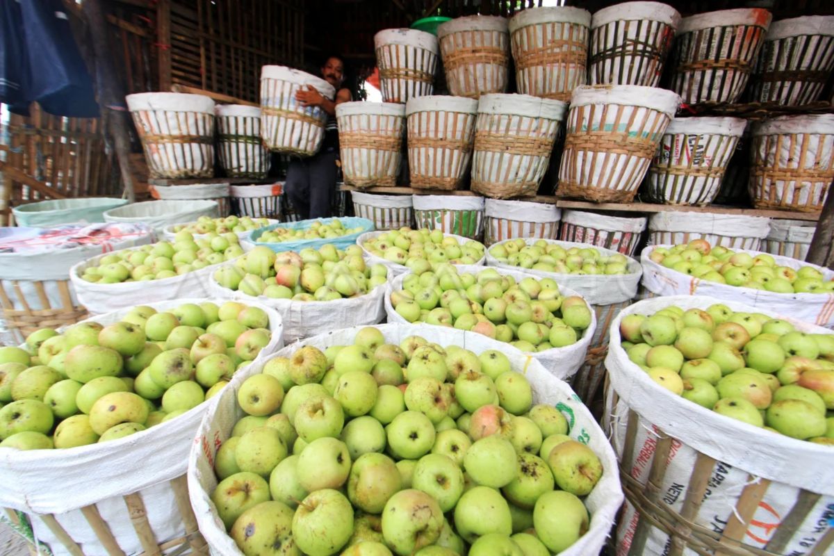BRIN: Iradiasi gamma dapat jaga kualitas ekspor pangan Indonesia