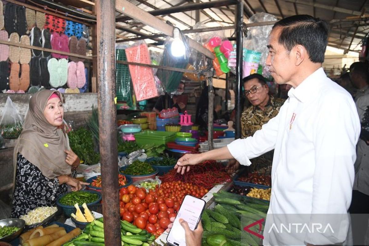 Presiden: Perlu solusi atasi tingginya harga cabai di Palembang