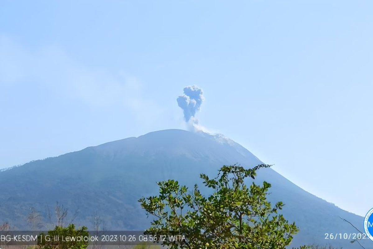 Gunung Ili Lewotolok tercatat dua kali meletus pada  Kamis pagi