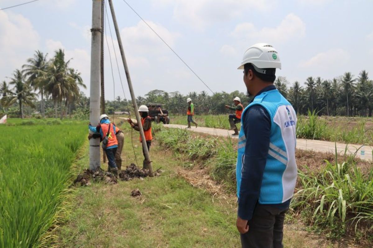 PLN UID Lampung berkontribusi ke pemerintah dari sektor pajak