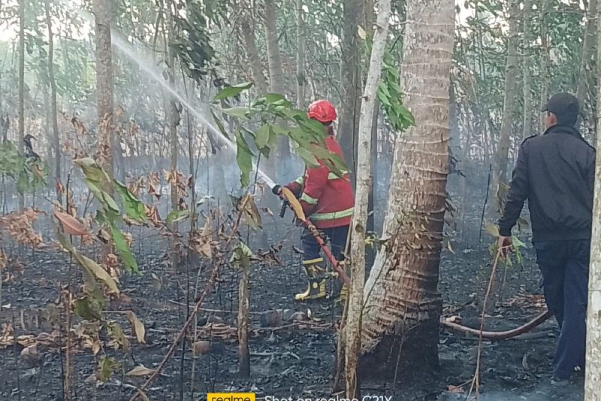 Damkar Lampung Selatan padamkan kebakaran lahan di dua lokasi