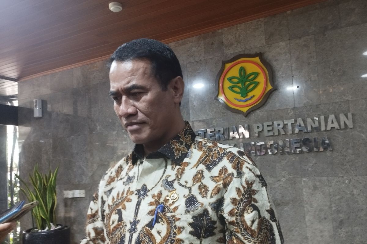 Mentan ingin ICMI garap pertanian untuk wujudkan swasembada