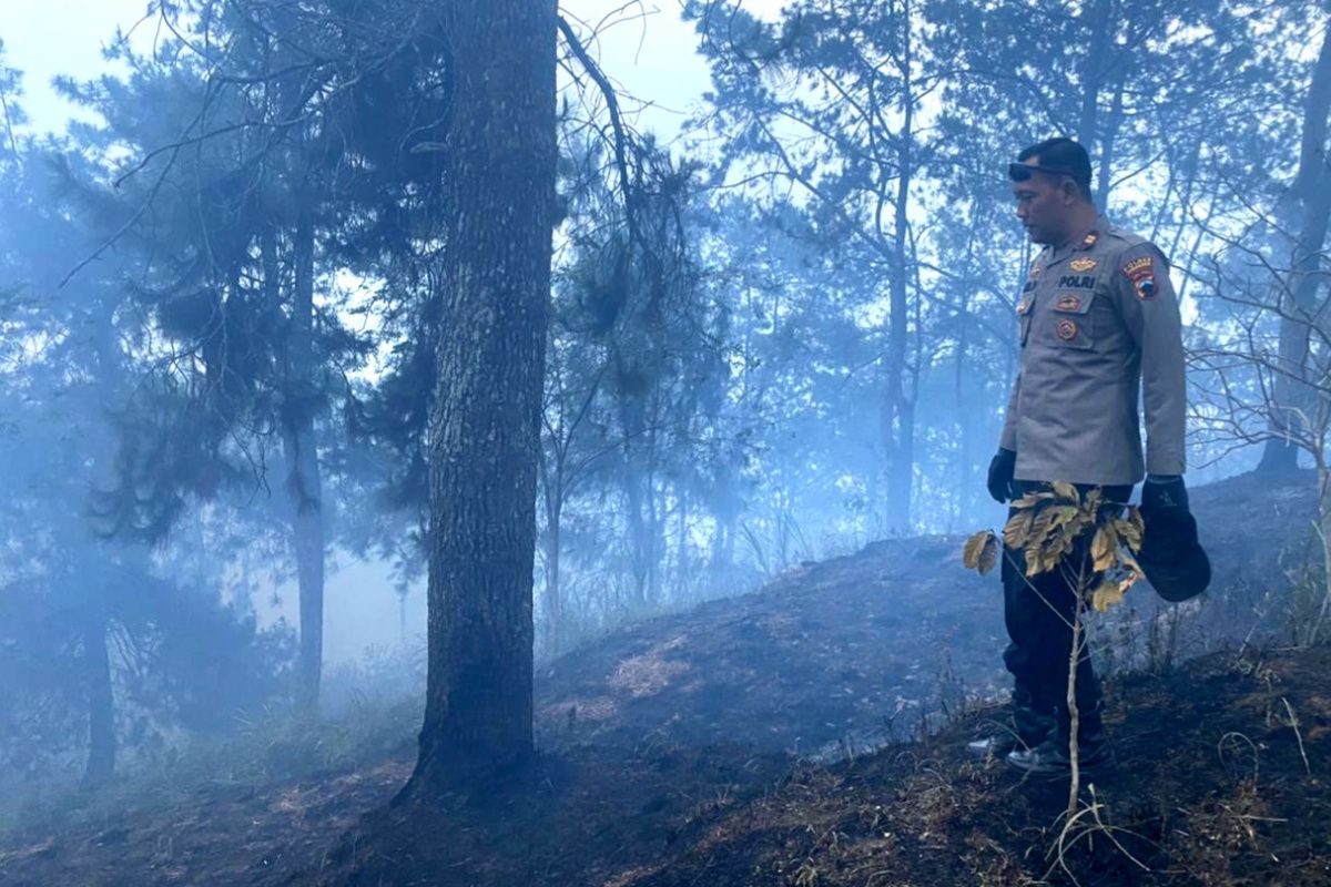 Kebakaran kawasan Taman Nasional Gunung Merbabu