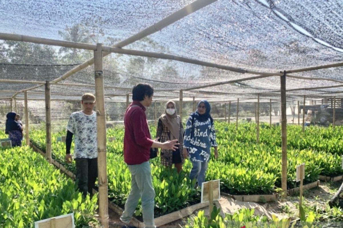 Forum DAS Gorontalo lakukan pendampingan kebun bibit rakyat