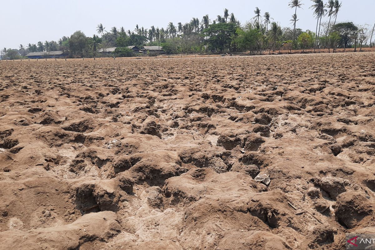Empat desa di Kabupaten Tangerang dilanda krisis air bersih