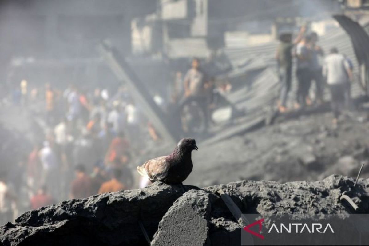 Layanan komunikasi dan internet di Gaza berfungsi lagi