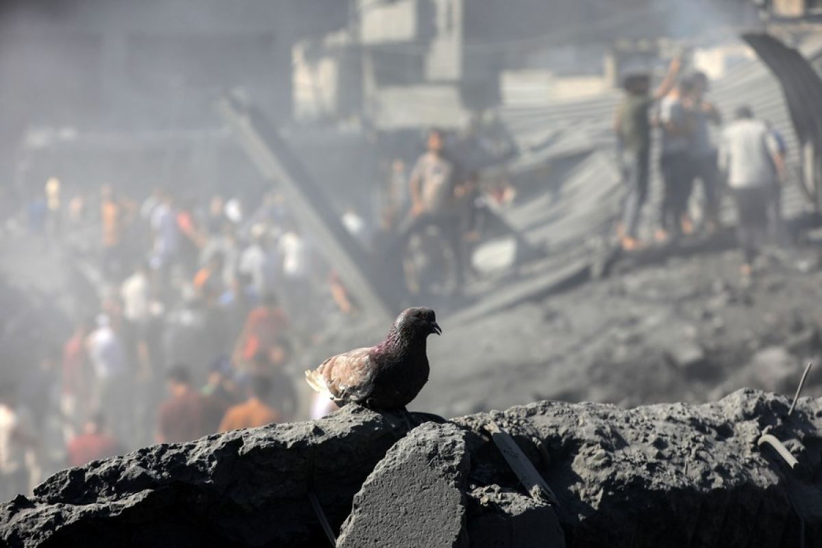 Majelis Umum PBB sahkan resolusi serukan gencatan senjata di Gaza, Palestina