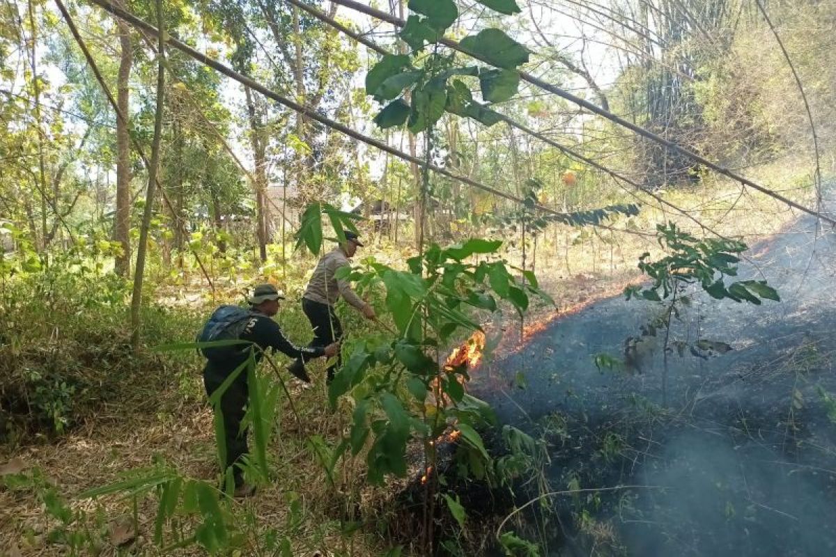 Damkar imbau warga waspada tren peningkatan kasus karhutla