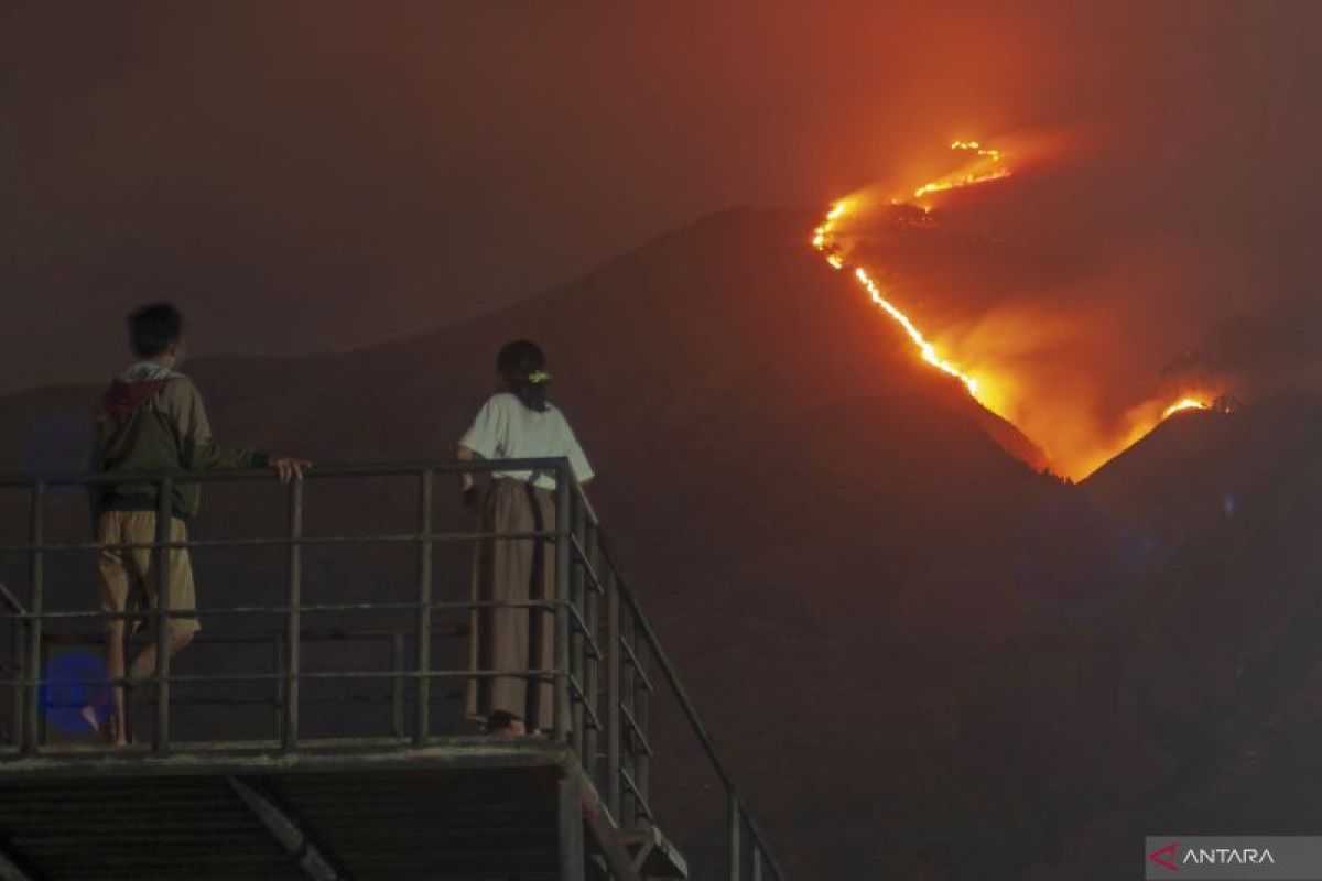 Kebakaran lereng Gunung Merbabu meluas ke puncak