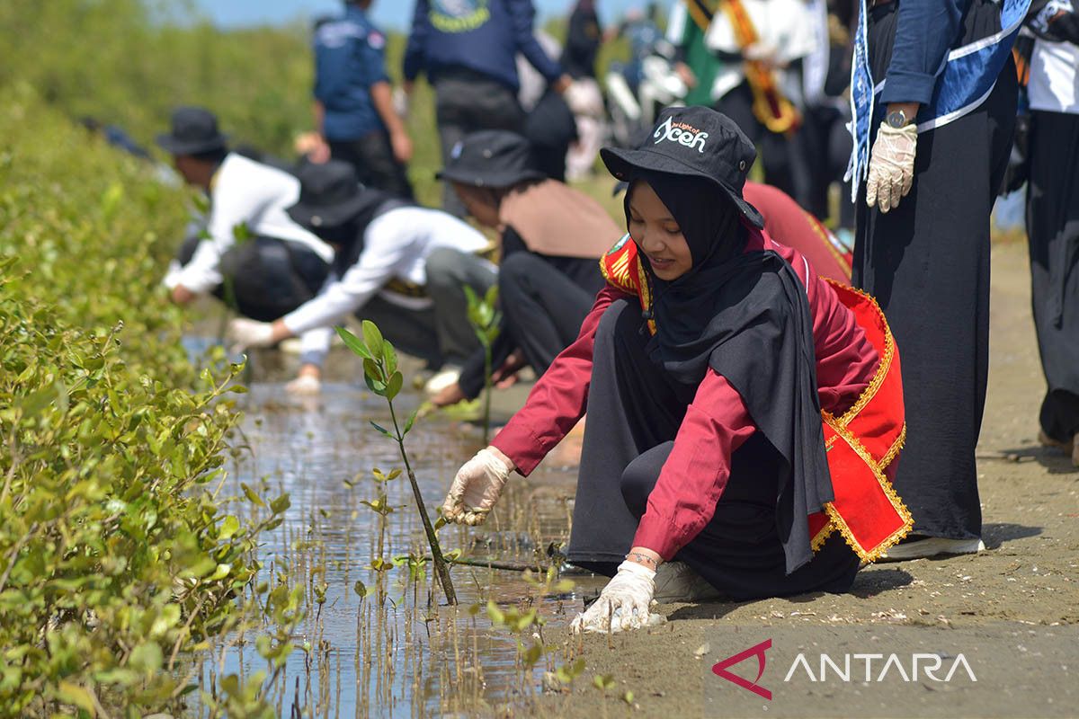 FOTO-Duta Wisata Tanam Manggrove sambut Sumpah Pemuda